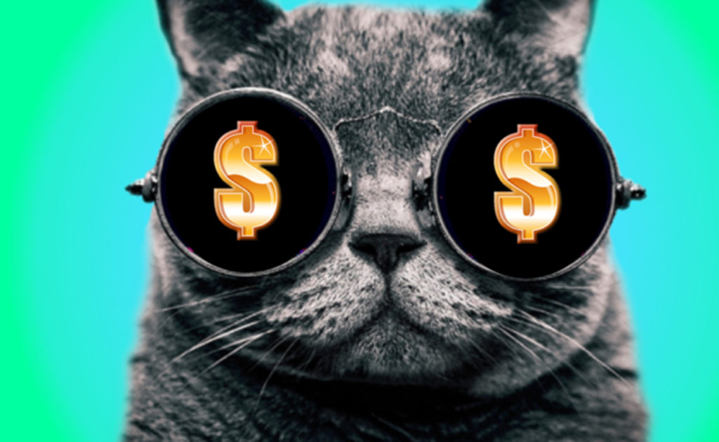 This virtual cat is costlier than your car