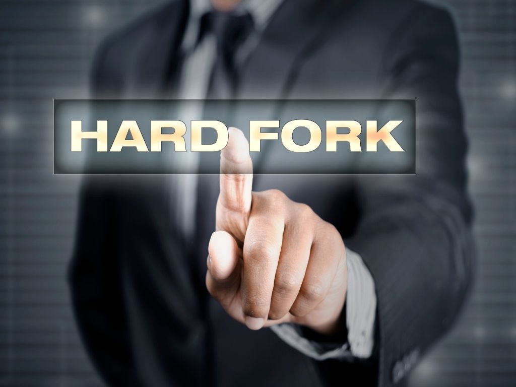 What is the role of hark forks in blockchain and crypto?