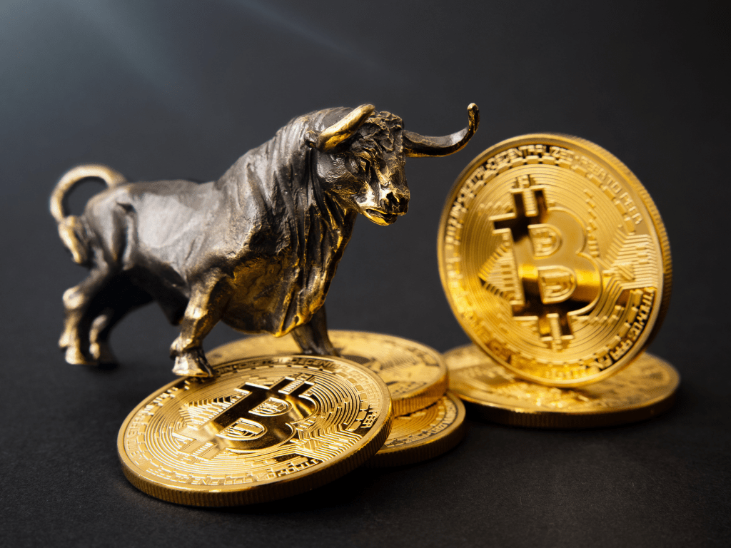 5 tips on how to survive in the crypto bear market