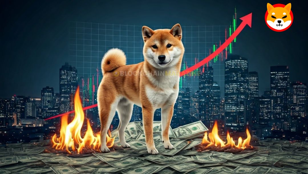 Will shiba’s burn mechanism drive a price surge? Shiba inu price prediction for 2025