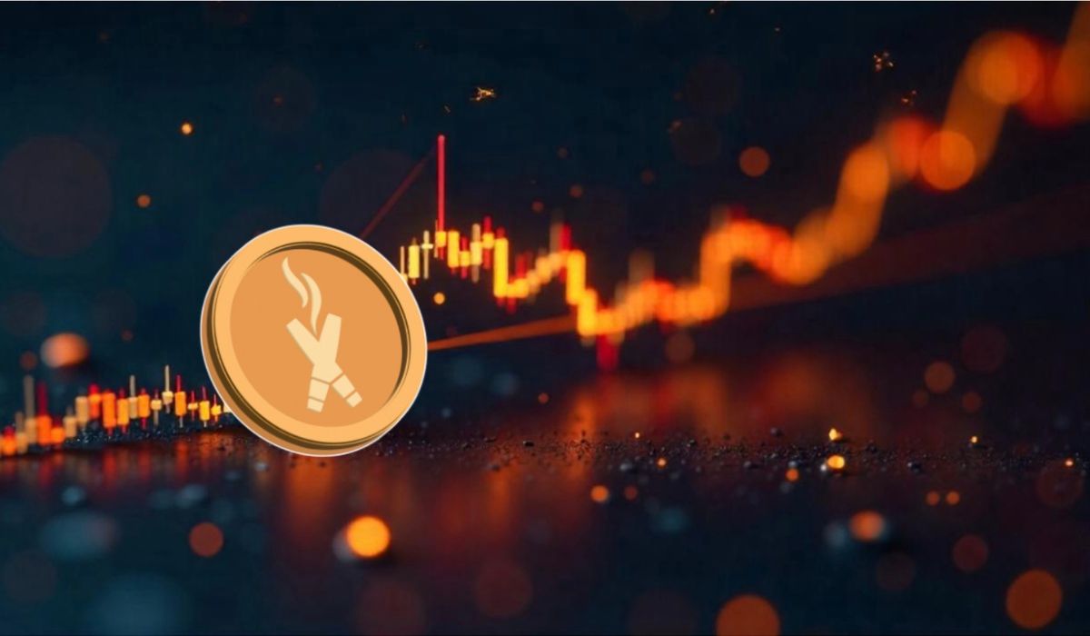 Dexboss builds a defi powerhouse as its presale gains momentum!