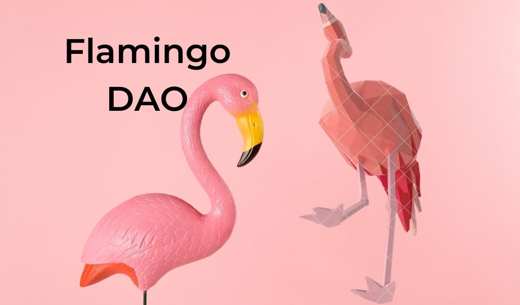 Flamingodao's nft portfolio touches $1b