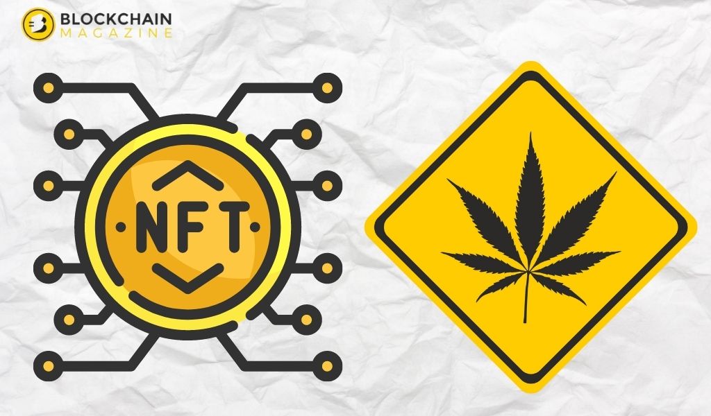 Nft vs cannabis, best investment opportunities in 2022