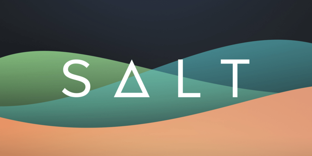 Salt blockchain