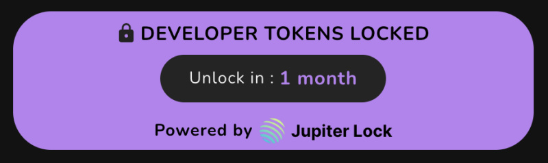 Ape On Launches Innovative Token Locking For Secure Project Launches On Solana 2 Screenshot 2024 10