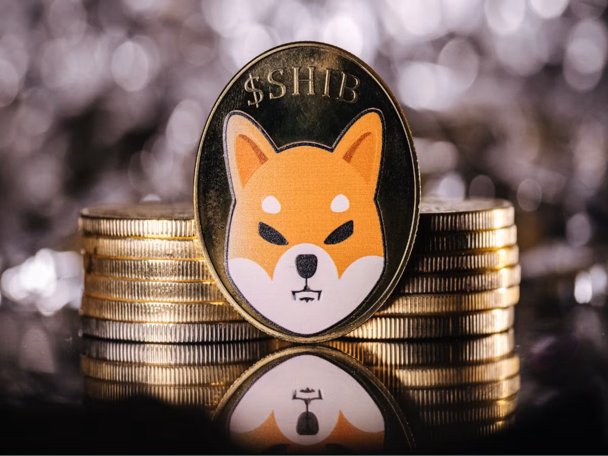 Shiba-inu-coin