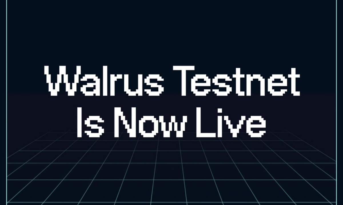 Walrus testnet 1729144851krjddejpze