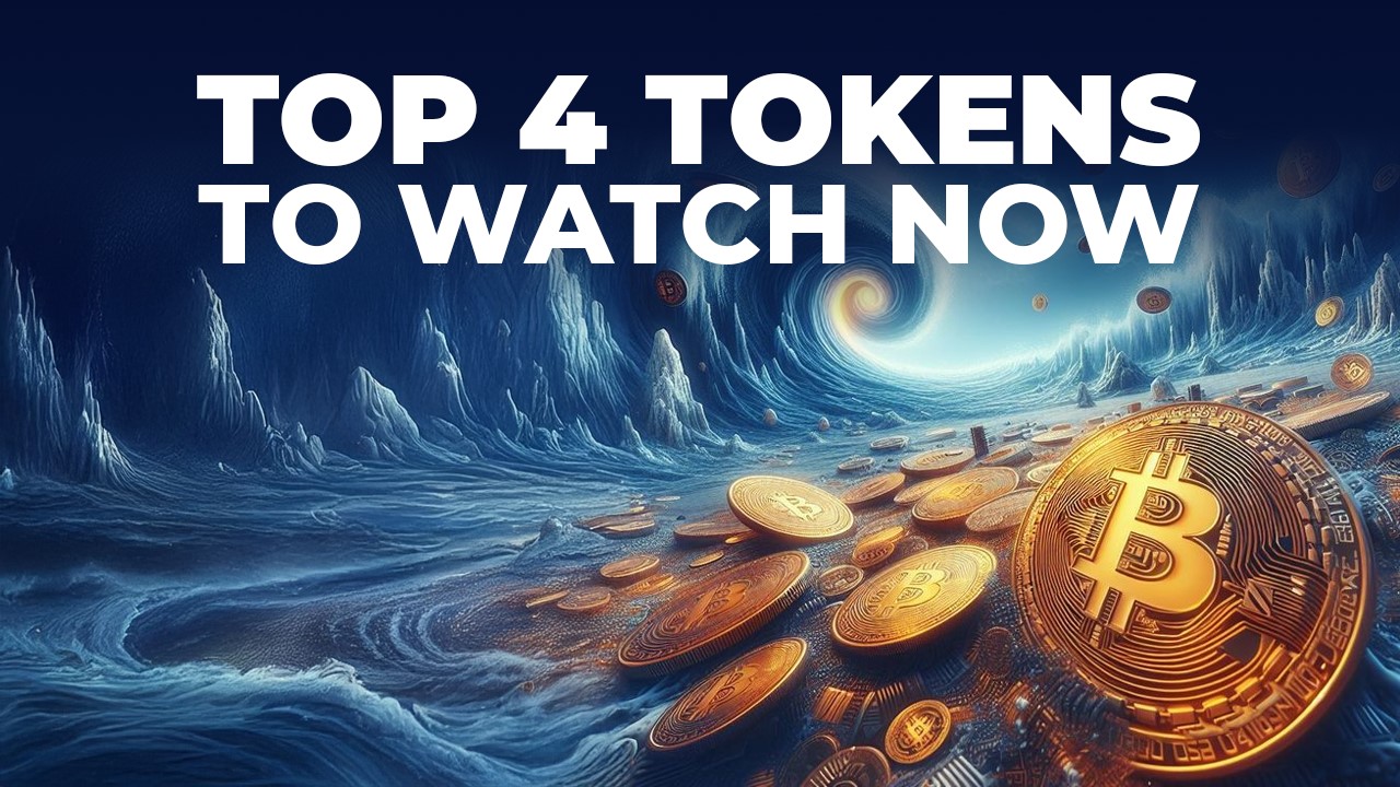 Crypto investment opportunities