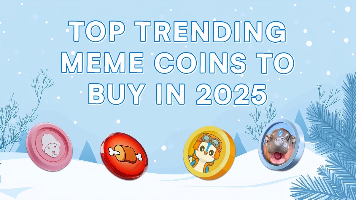 Meme coin