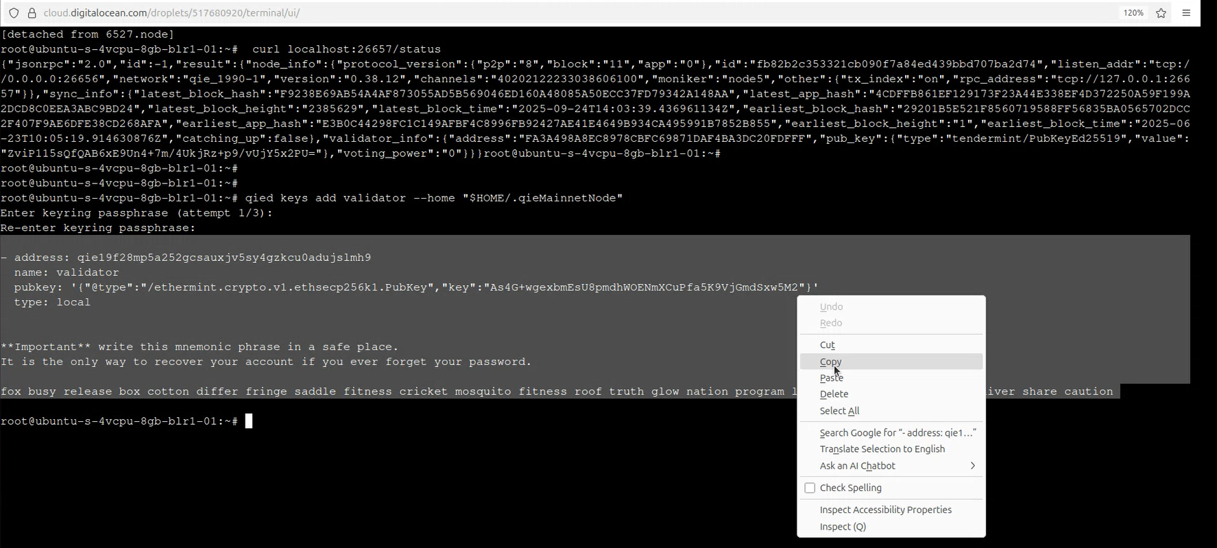 Qie validator