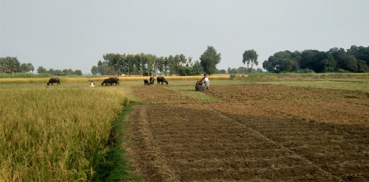 Indian farmers company integrates blockchain 1