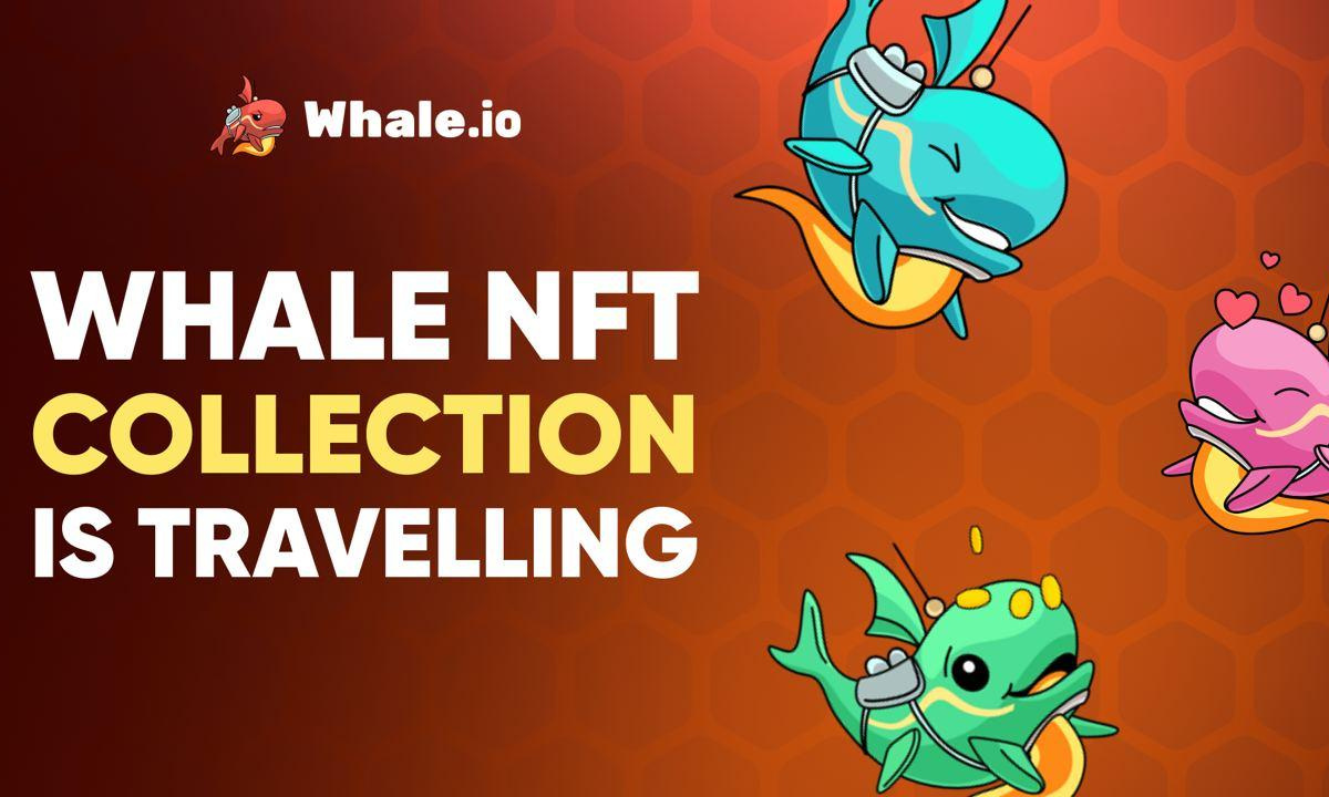 Whale. Io to bridge nft collection from ton blockchain to solana