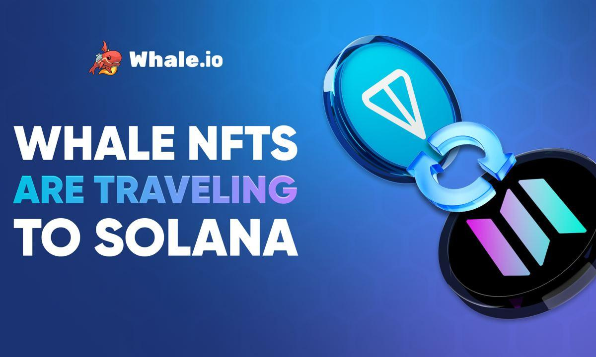 Whale nft bridge goes live: ton to solana migration launches on bridgemedaddy. Com